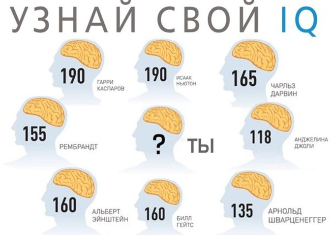 Уровень iq таблица по возрасту интеллекта
