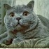 Gennady 