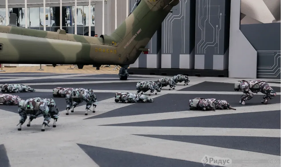 «Армия-2024». Шоу роботов-собак.