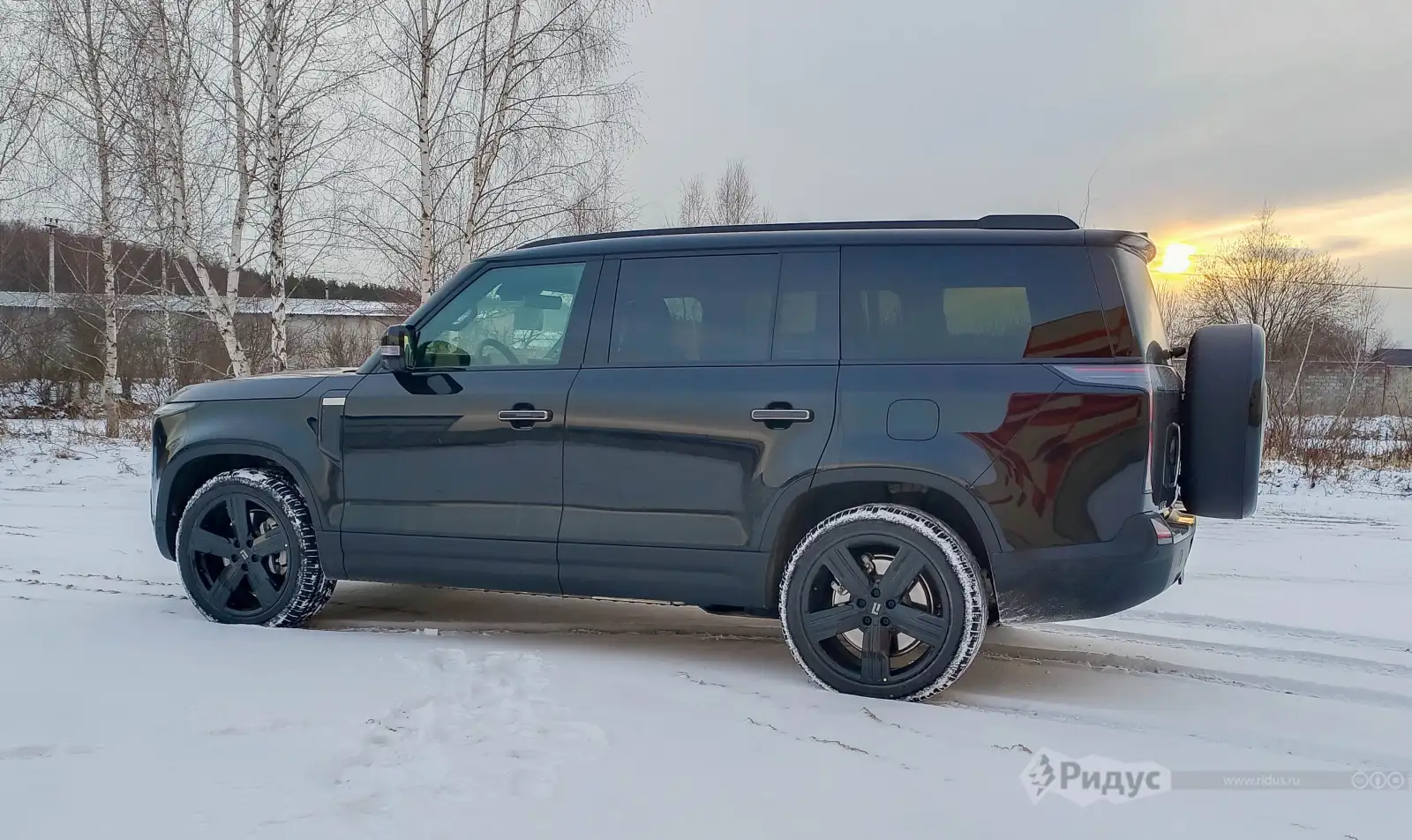 Не агрессивный ROX 01. 