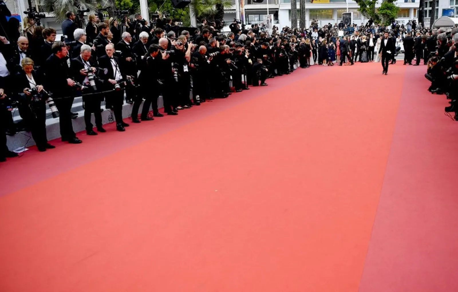 Shopping Center Red carpet backdrop, Red backdrop, Red carpet entrance