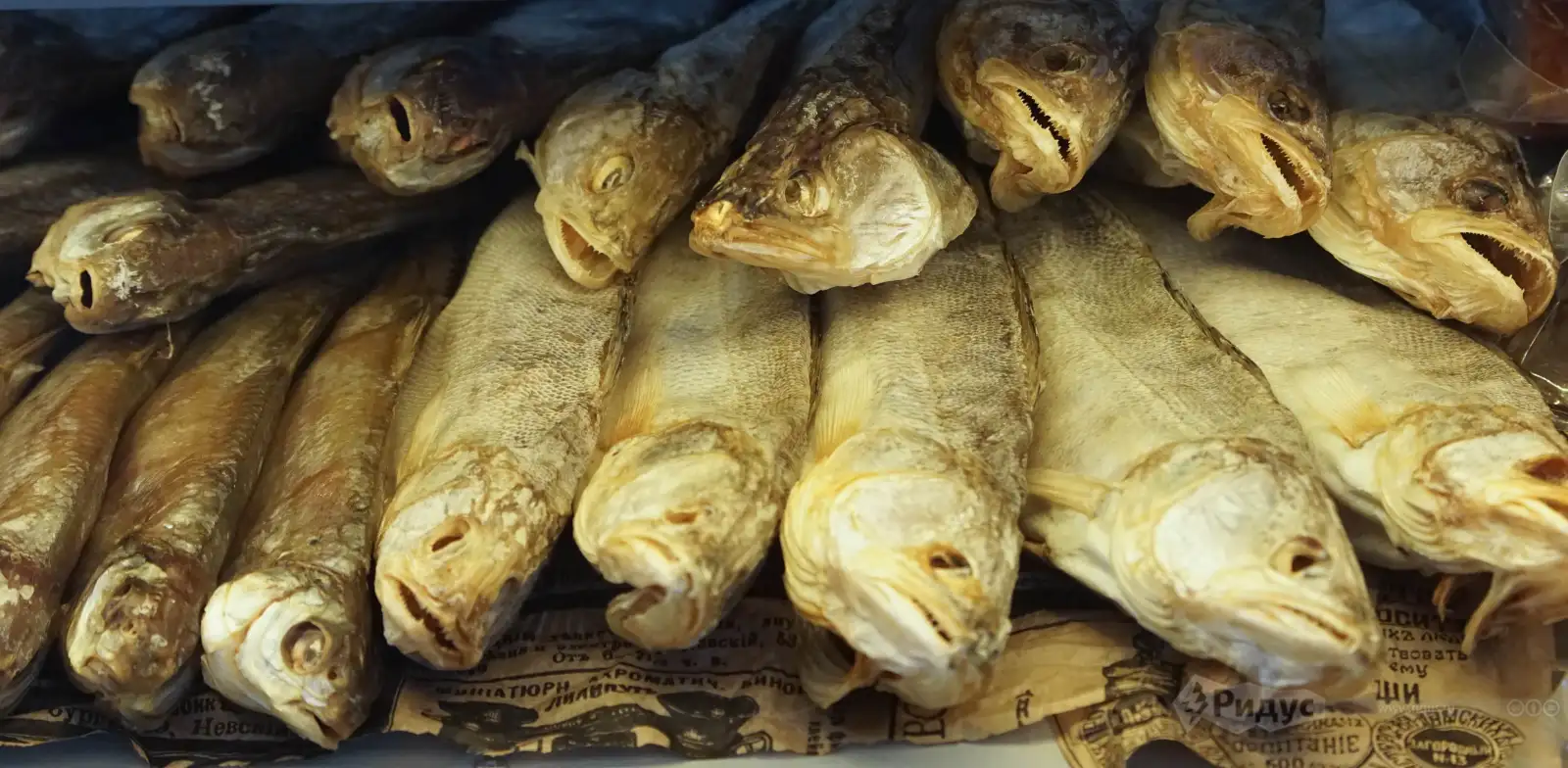 Продэкспо-2026 