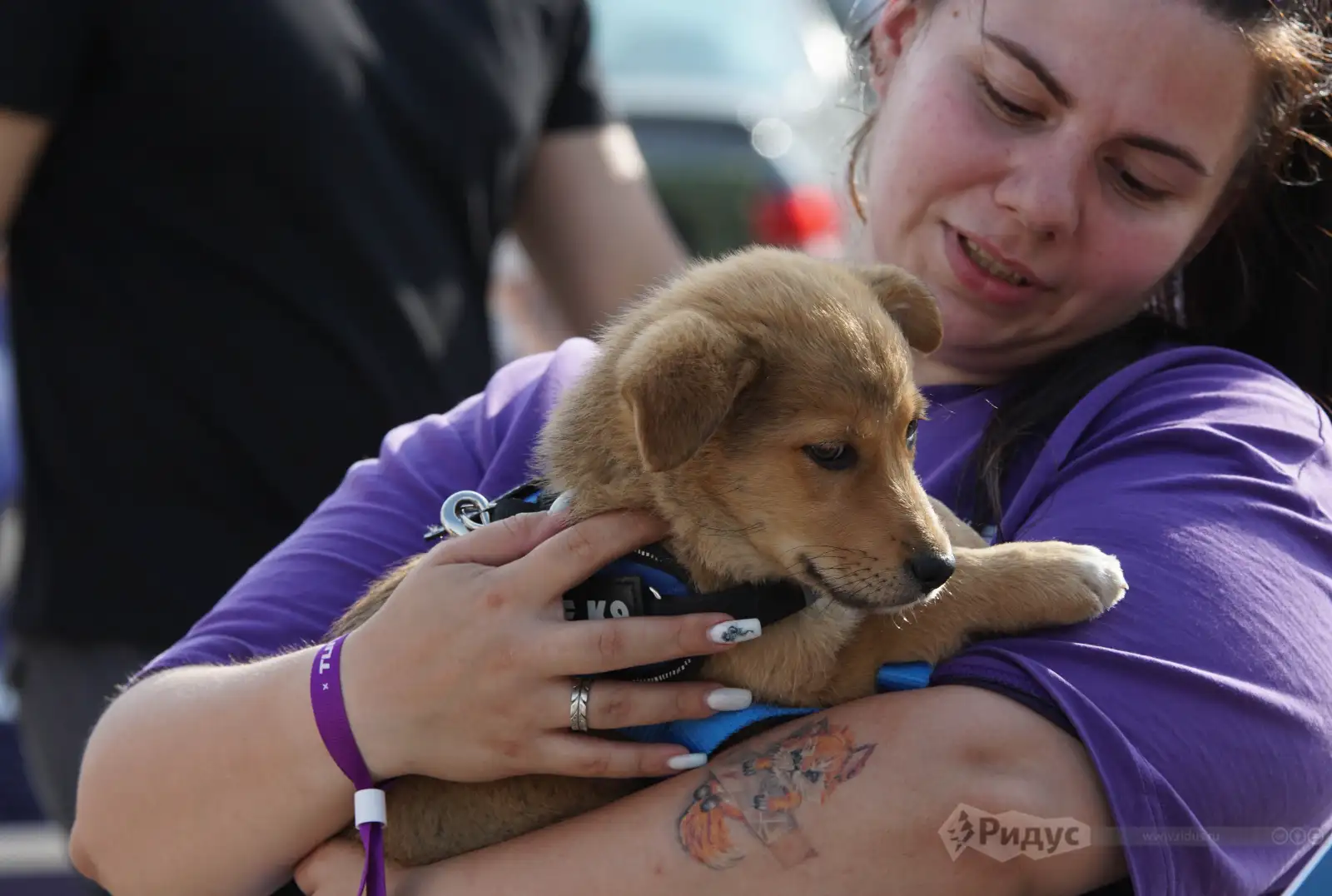 TUNING SHOW 2025, собака (без мальчика).  