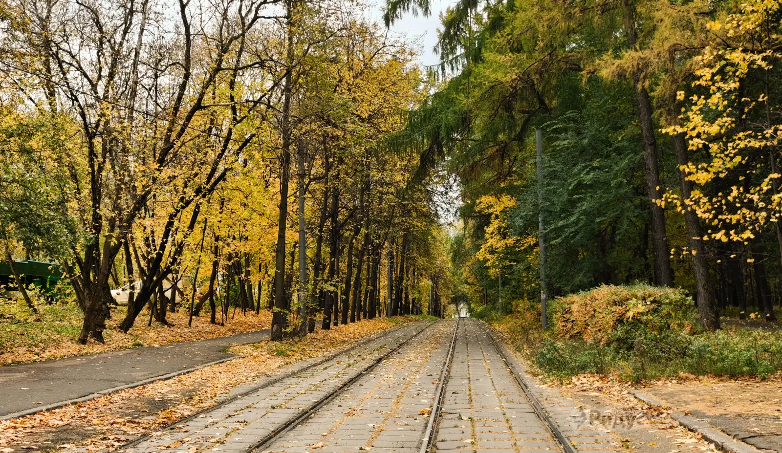 Осень пришла в Москву. 