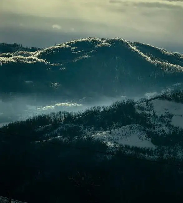 Здесь готовят ракию. И не только.