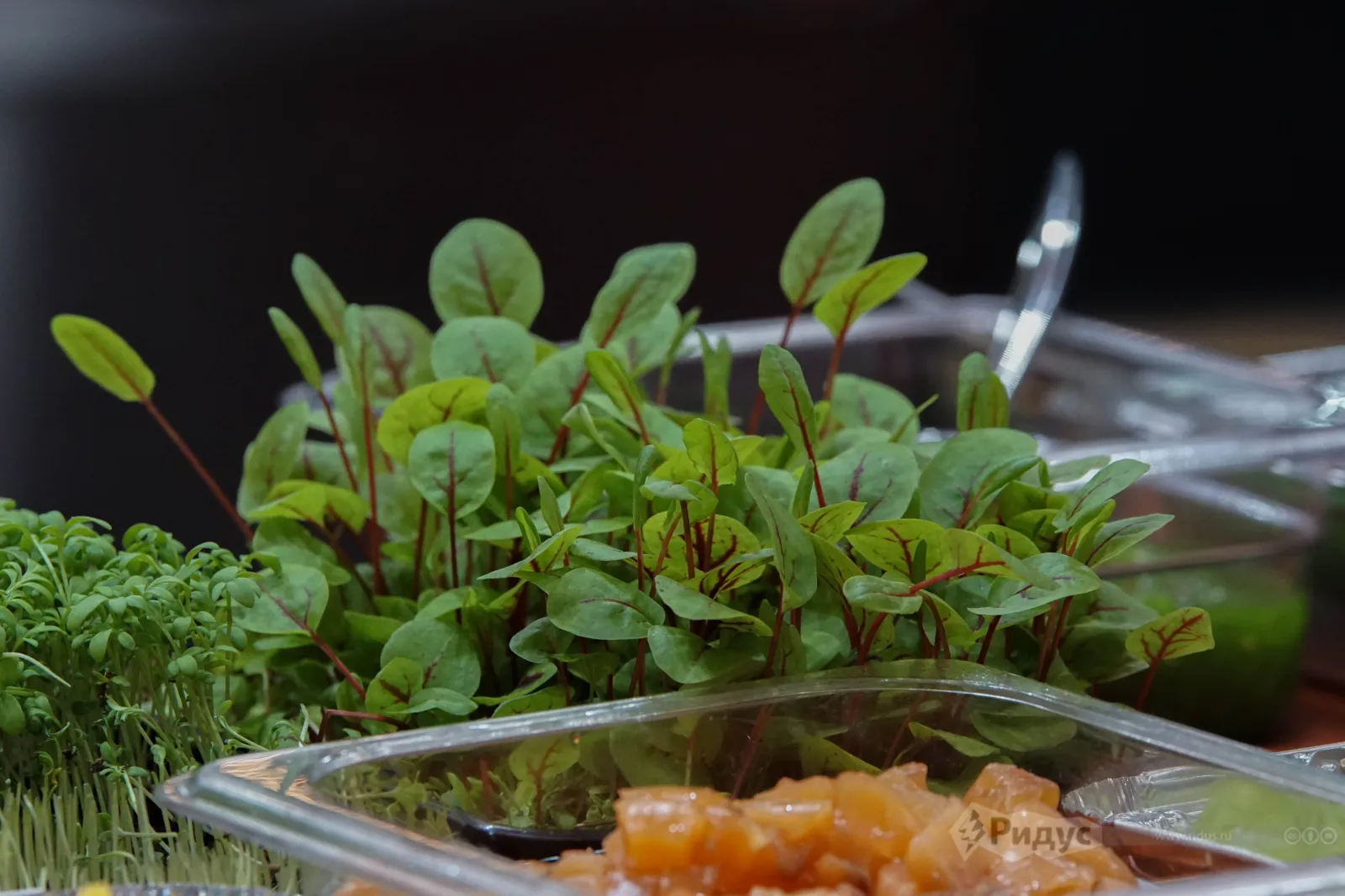 27-я Международная выставка «ПИР Экспо». 