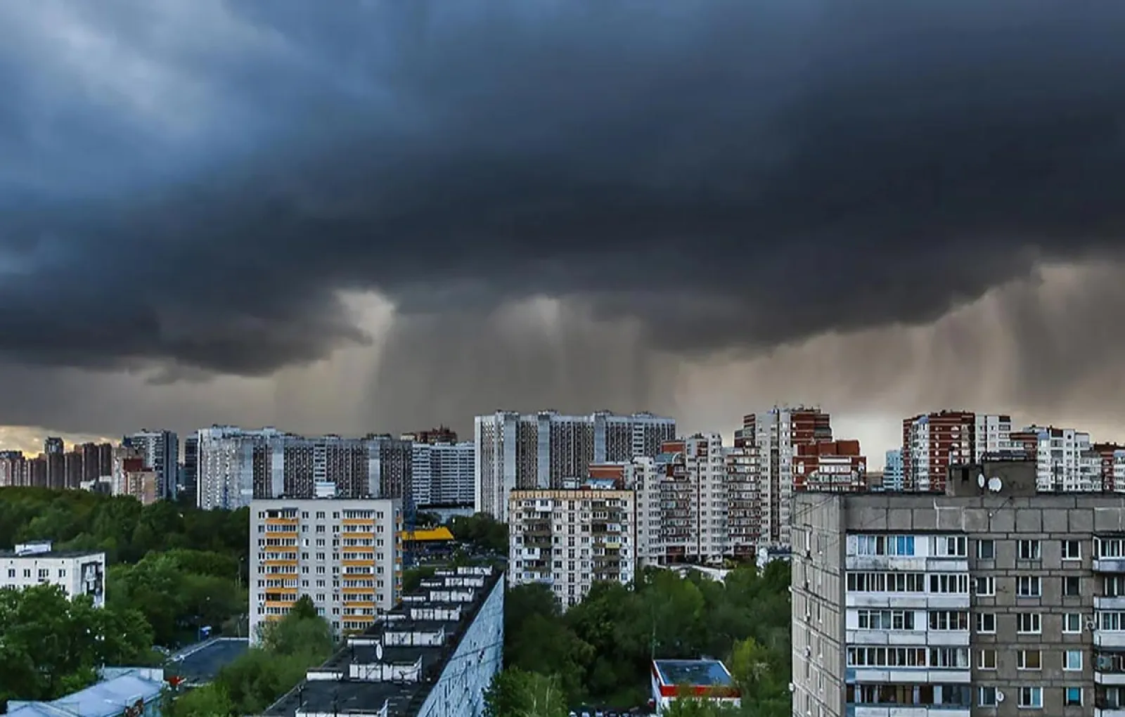 В Москве объявили «оранжевый» уровень погодной опасности