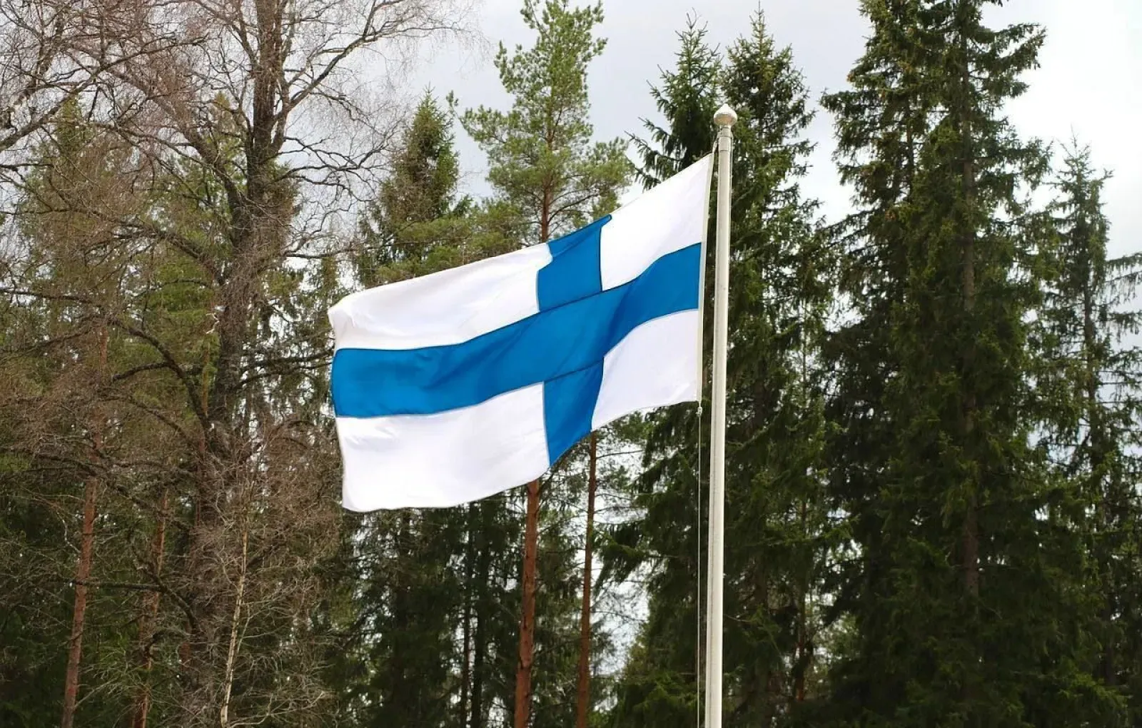 Военные Финляндии проводят учения на границе с Россией