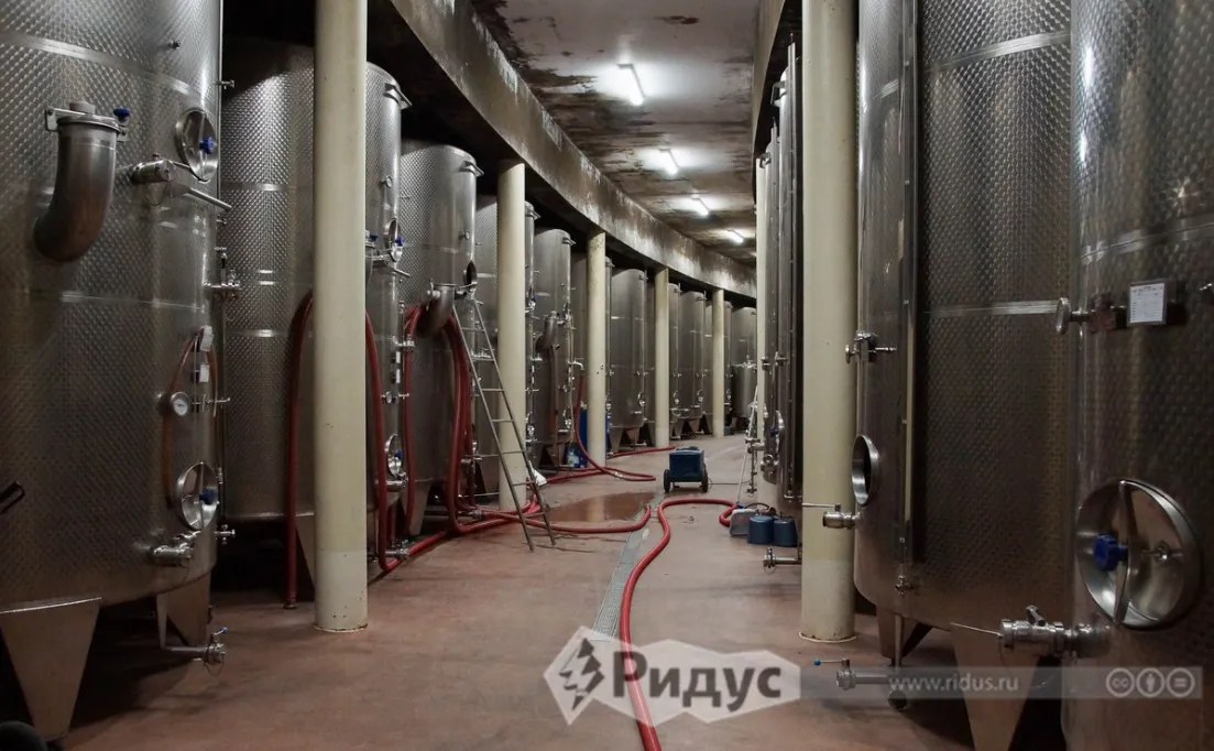 Винодельня. 