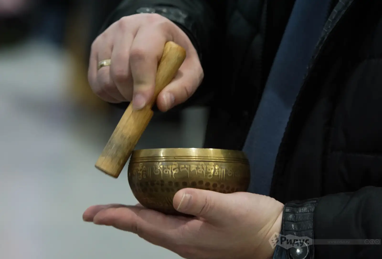 Выставка «Саквояж». 