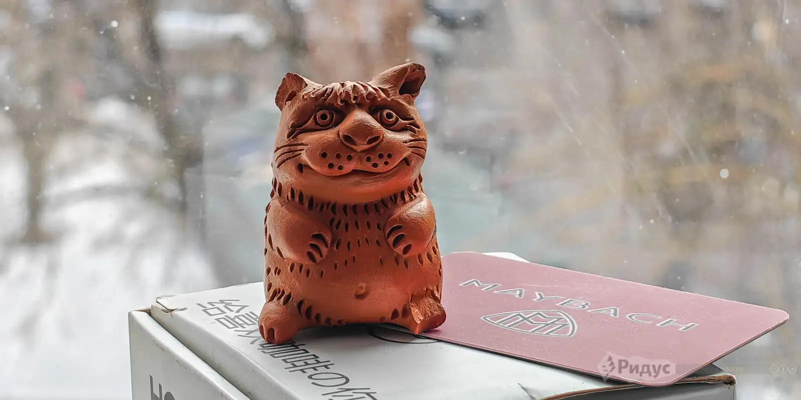 Фото, сделанное на realme 16 Pro+. 