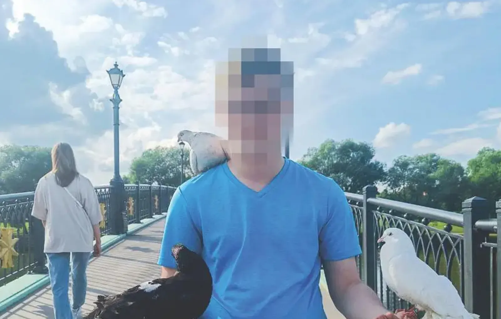 Как выглядит молодой голубь