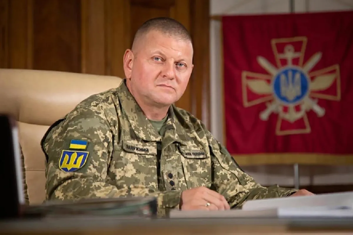Экс-главком ВСУ Валерий Залужный.