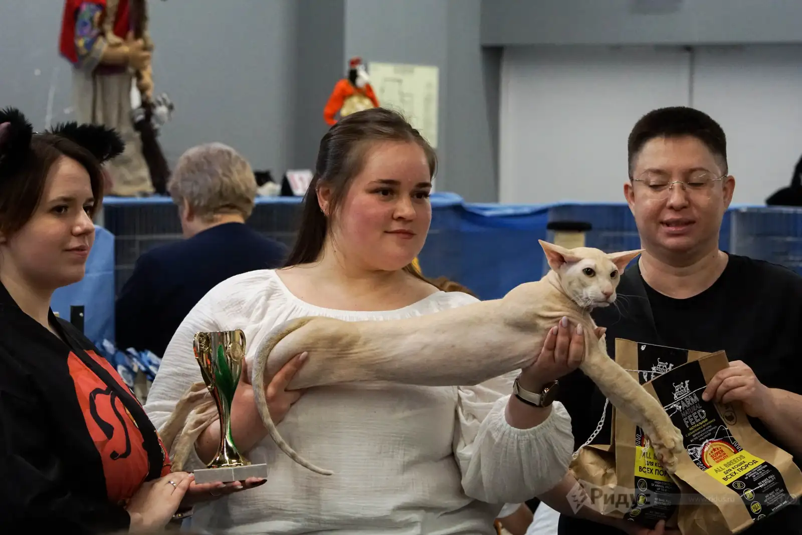 Выставка кошек «У Лукоморья». 