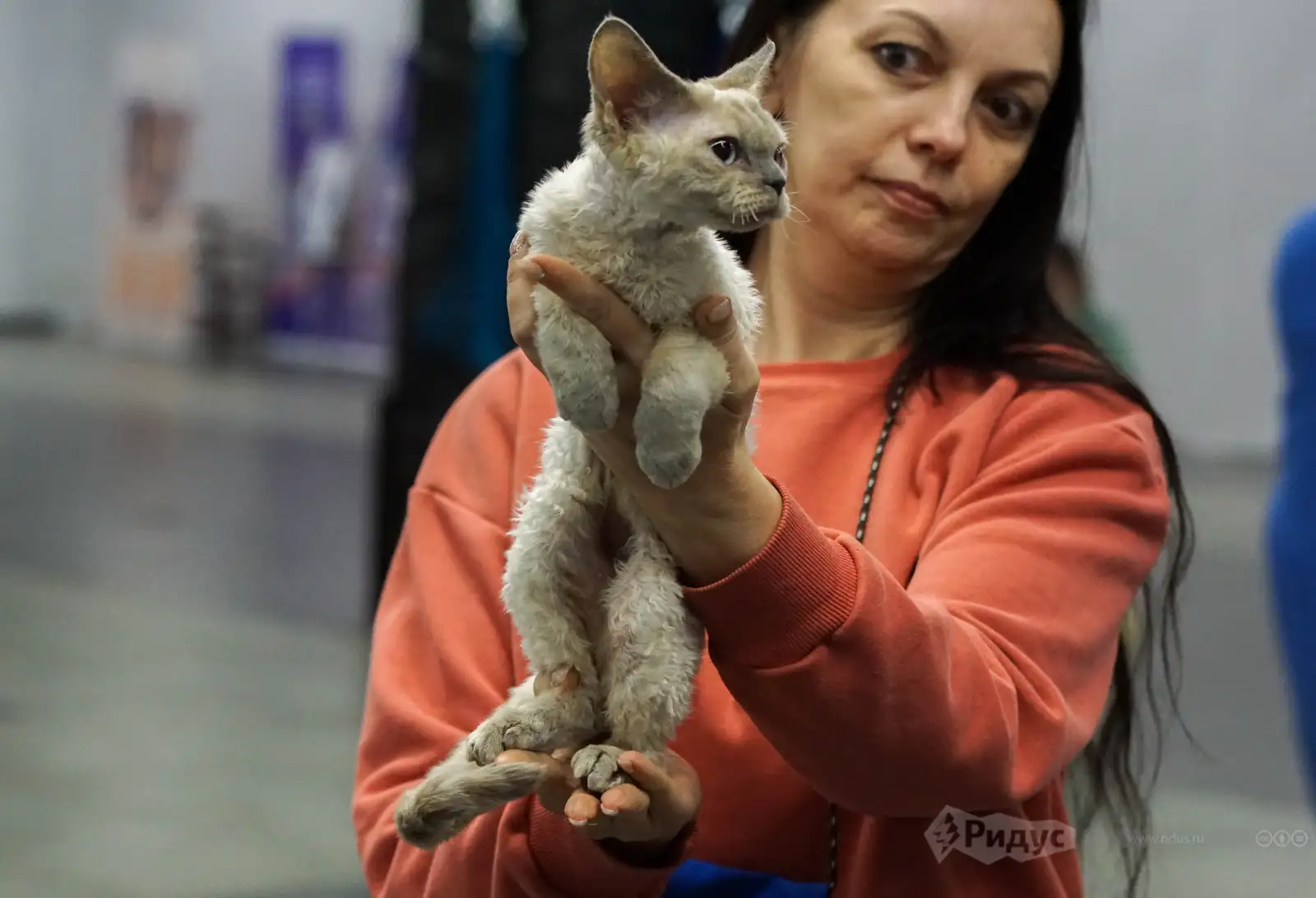 Выставка кошек «У Лукоморья». 