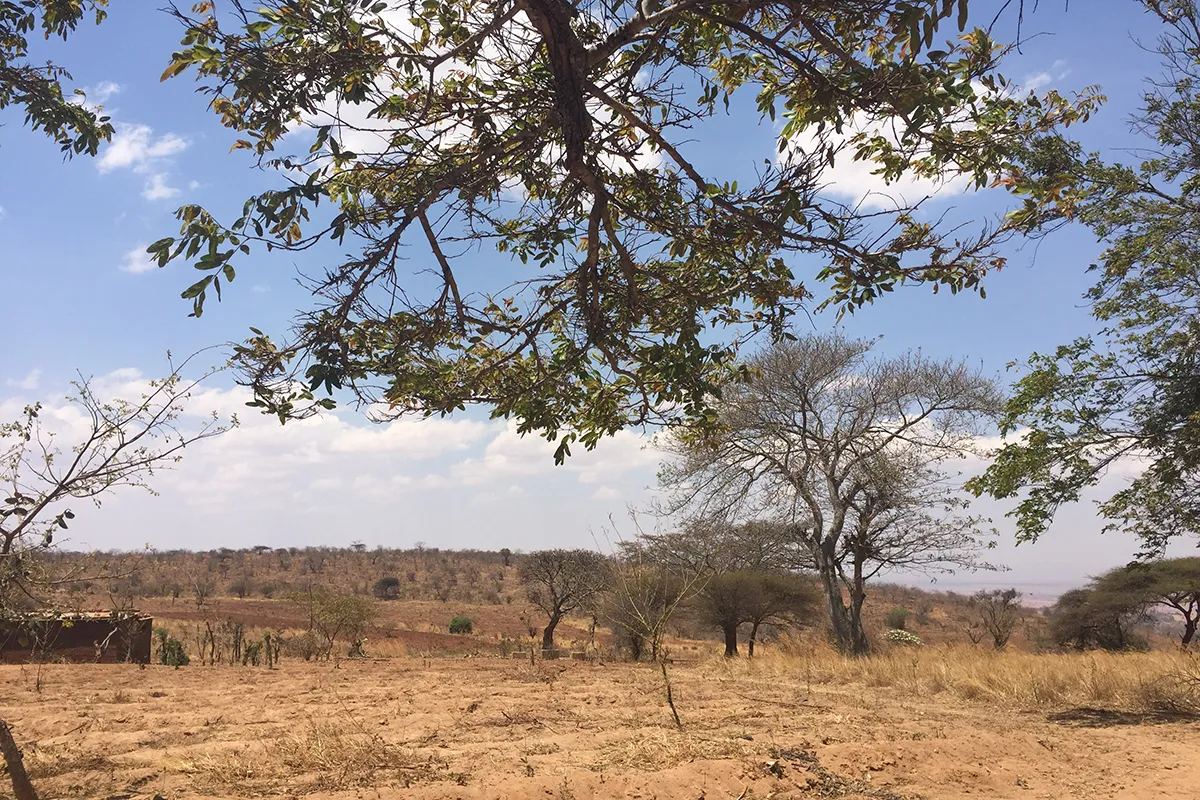 Засуха в Восточной Африке