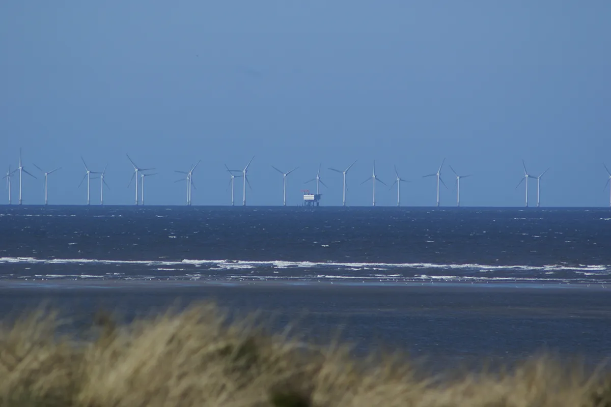 Вид на турбины ВЭС Хорнс-Риф, Дания