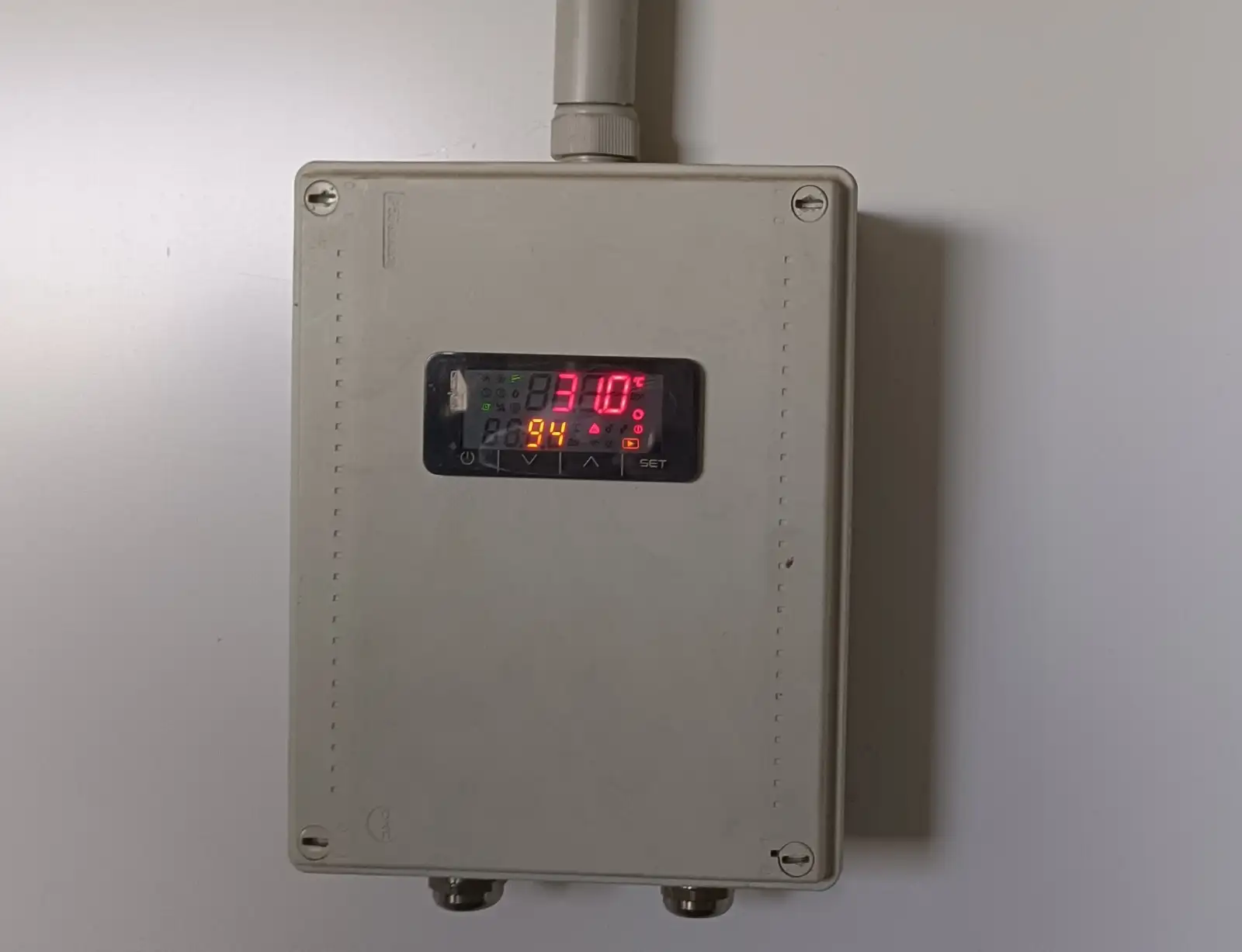 +31.0 градус - температура в стратификационной камере. 