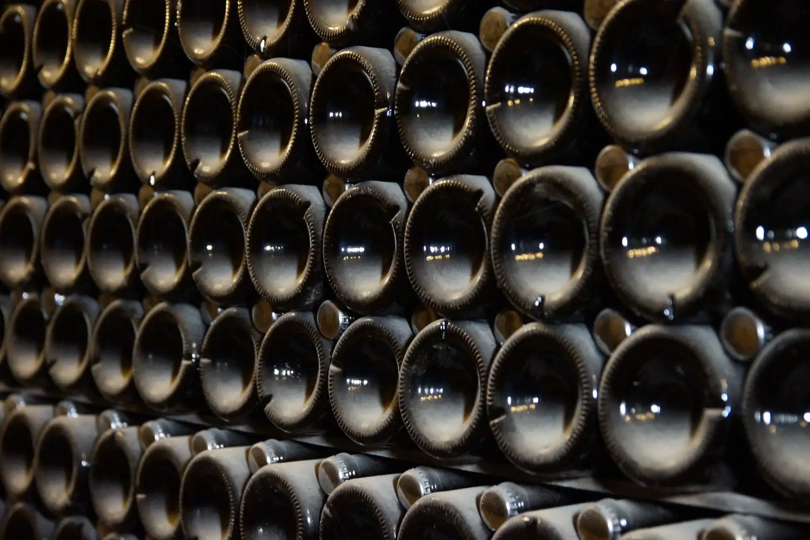 «Винная карта России»